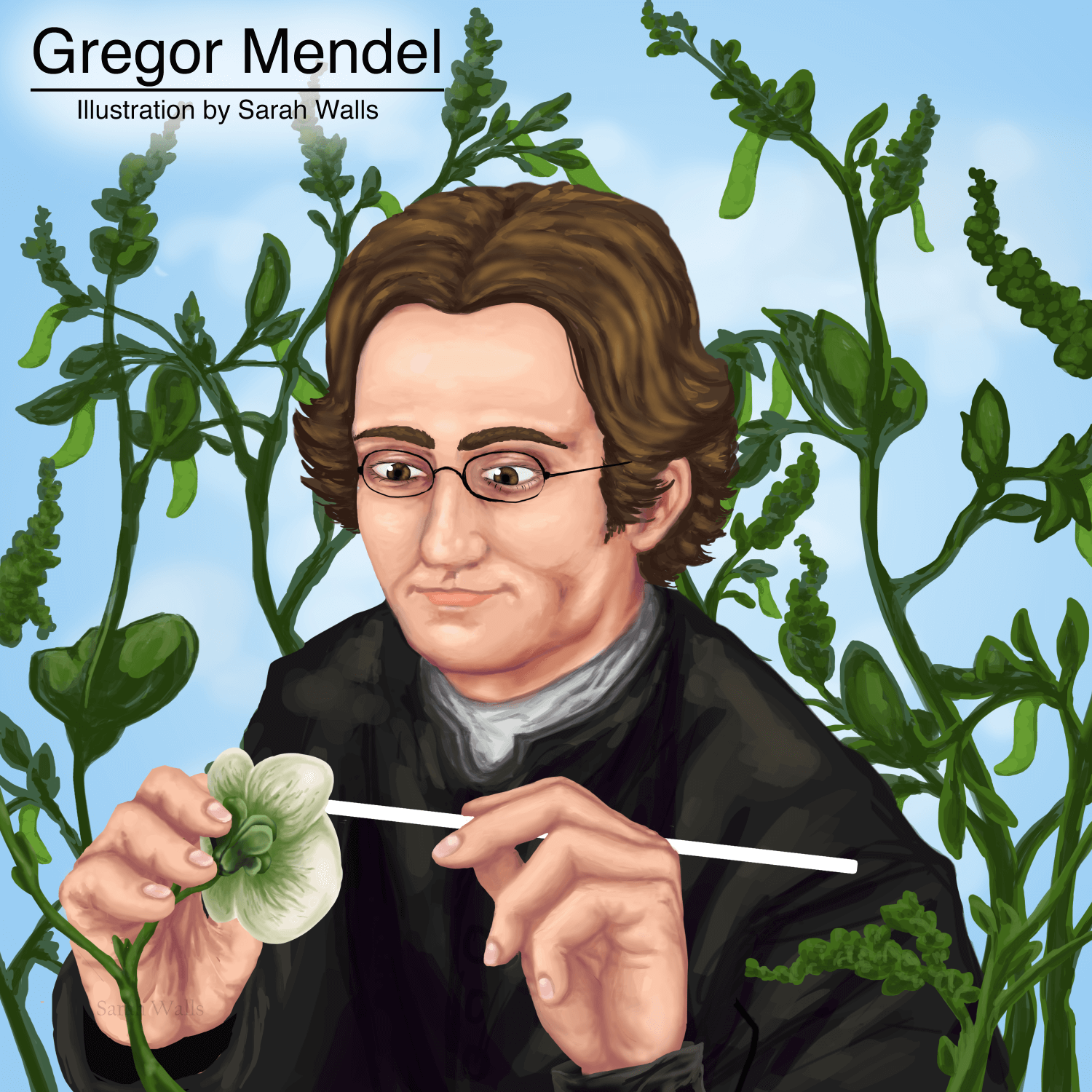 Gregor Mendel